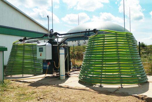 Zwei Reaktoren der Firma Gicon zur Kultivierung von Mikroalgen